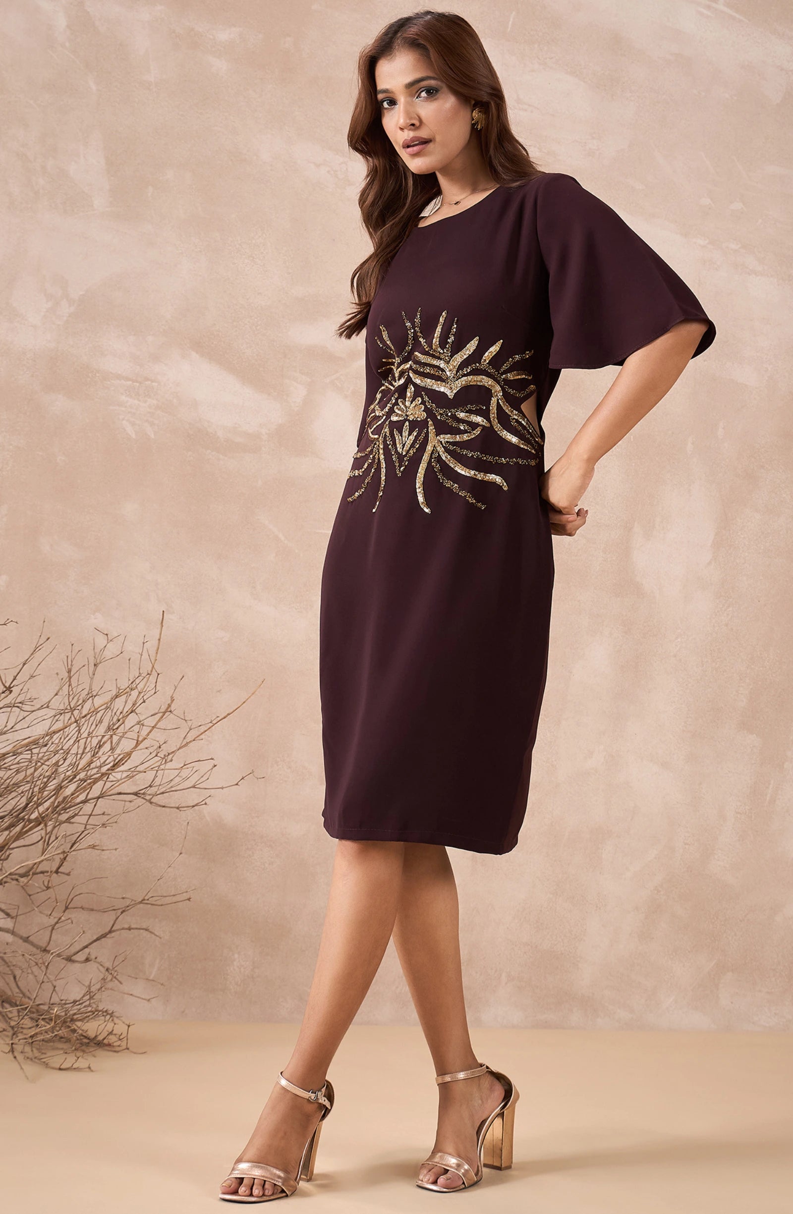 Elegant Maroon Embellished Dress
