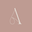 ASHIN logo